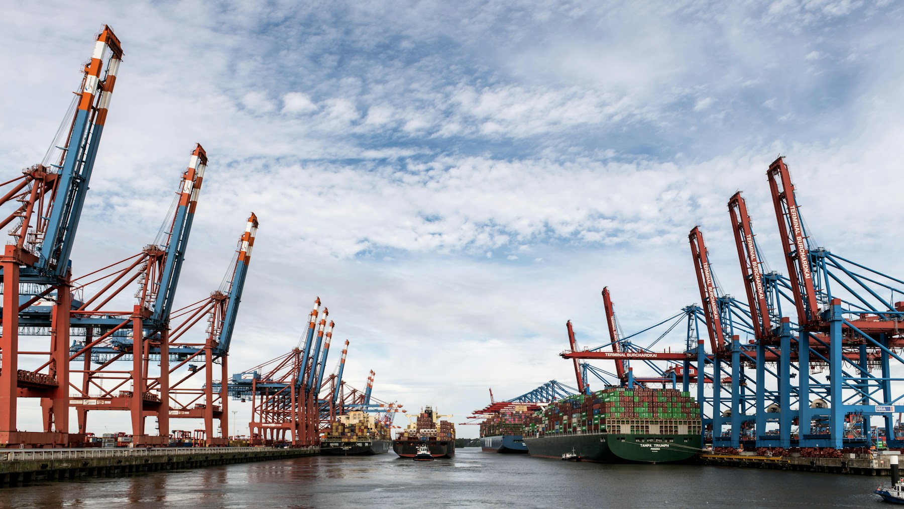 Container ships docked at a busy industrial port with cranes